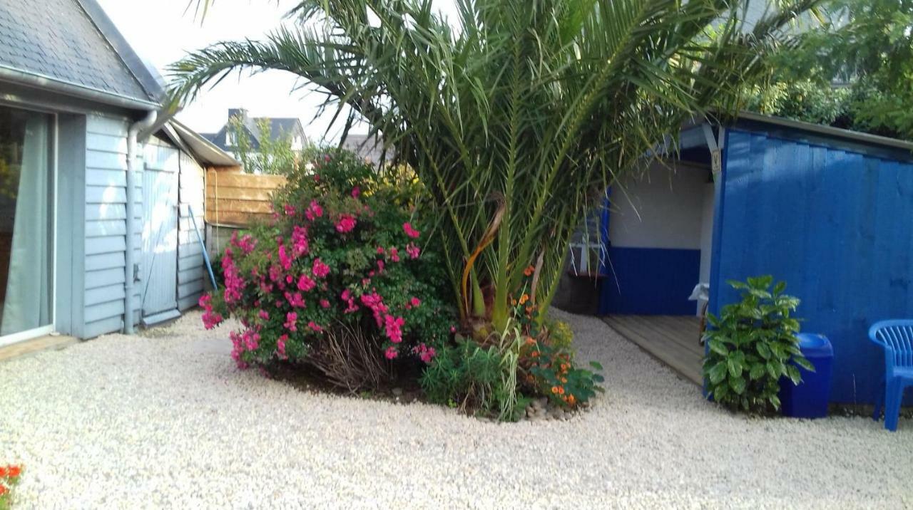 Le Petit Cottage Entre Village Et Mer Trélévern Exterior foto
